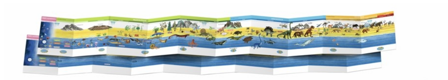 Ligne du Temps Montessori - L'arrivée et l'Evolution de la Vie sur Terre -Nathan
