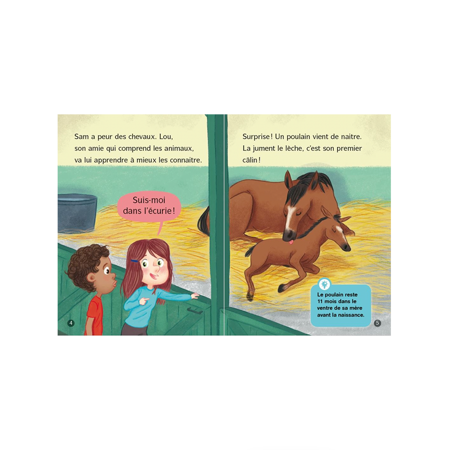 Les docs de Lou, tout sur les chevaux