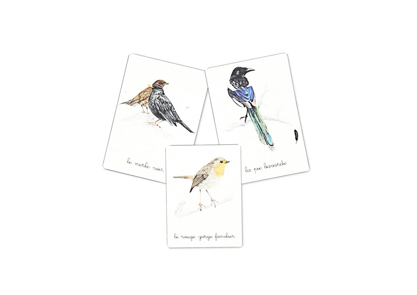 My Montessori box of birds -Nathan