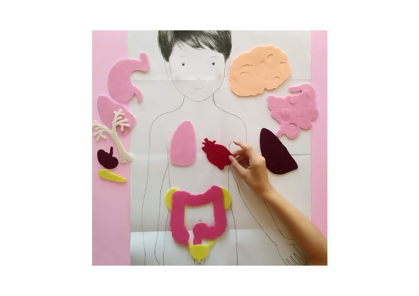 My Montessori box of the human body -Nathan