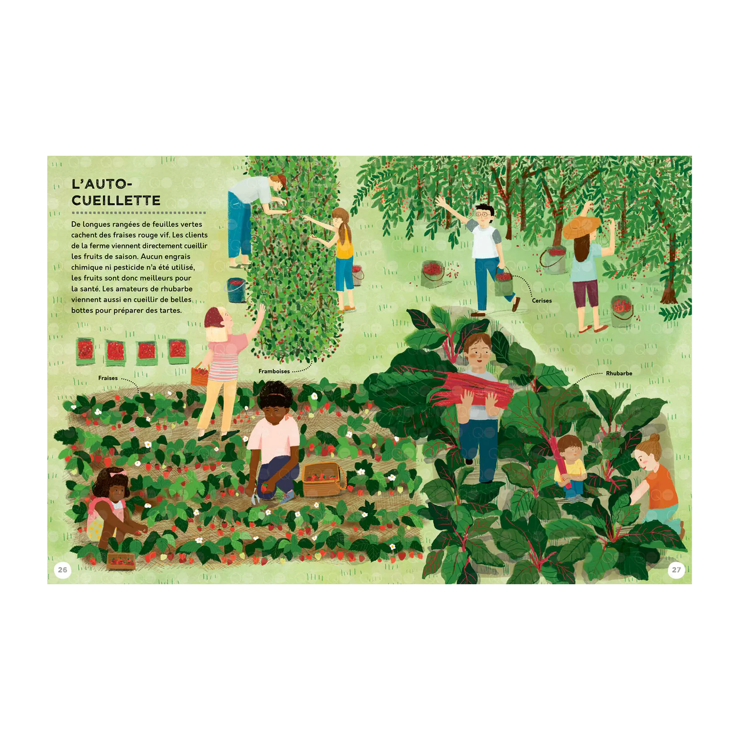 Une année à la ferme -Kimane