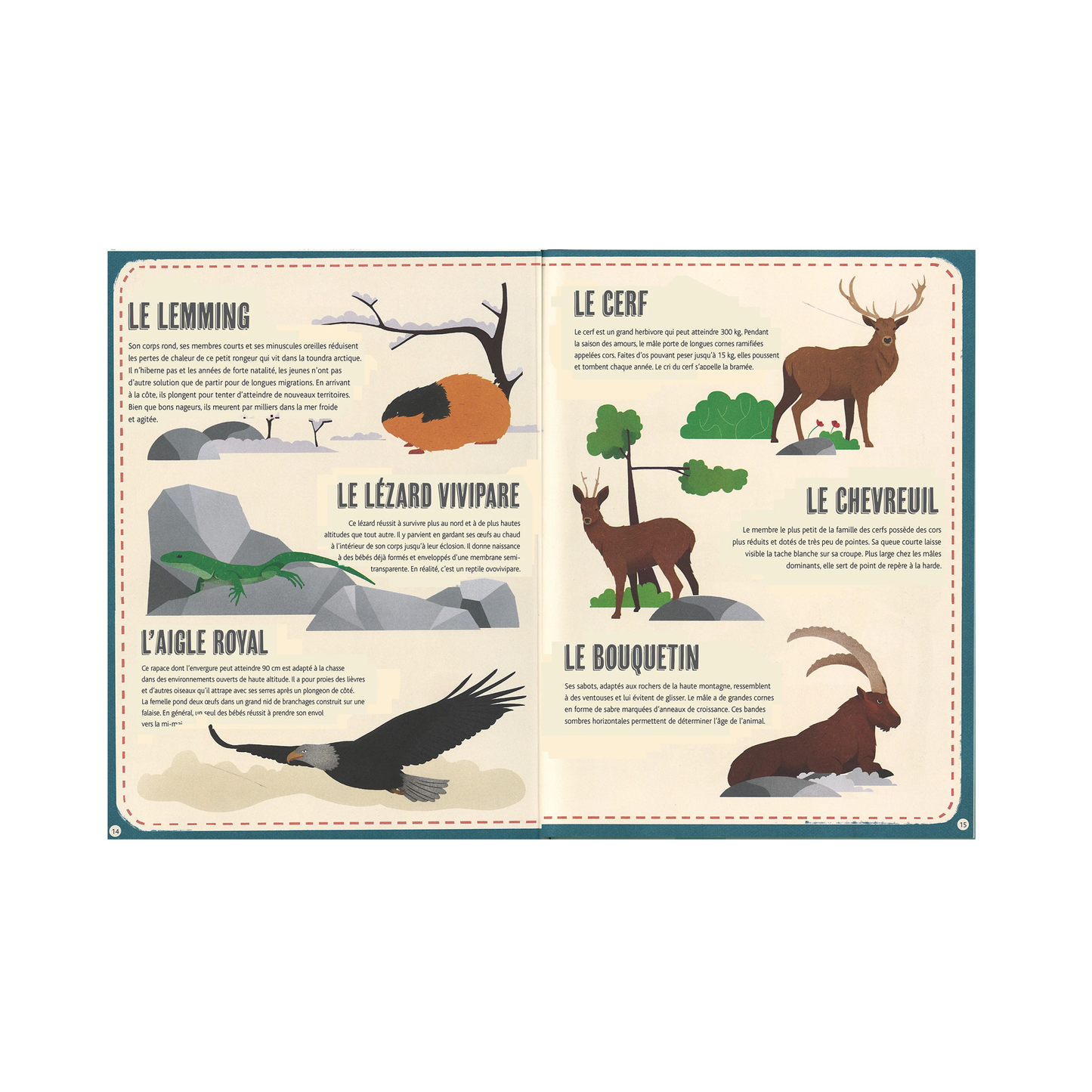 Le grand atlas des animaux -Kimane