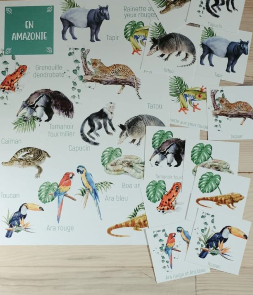 Amazon Animal Posters
