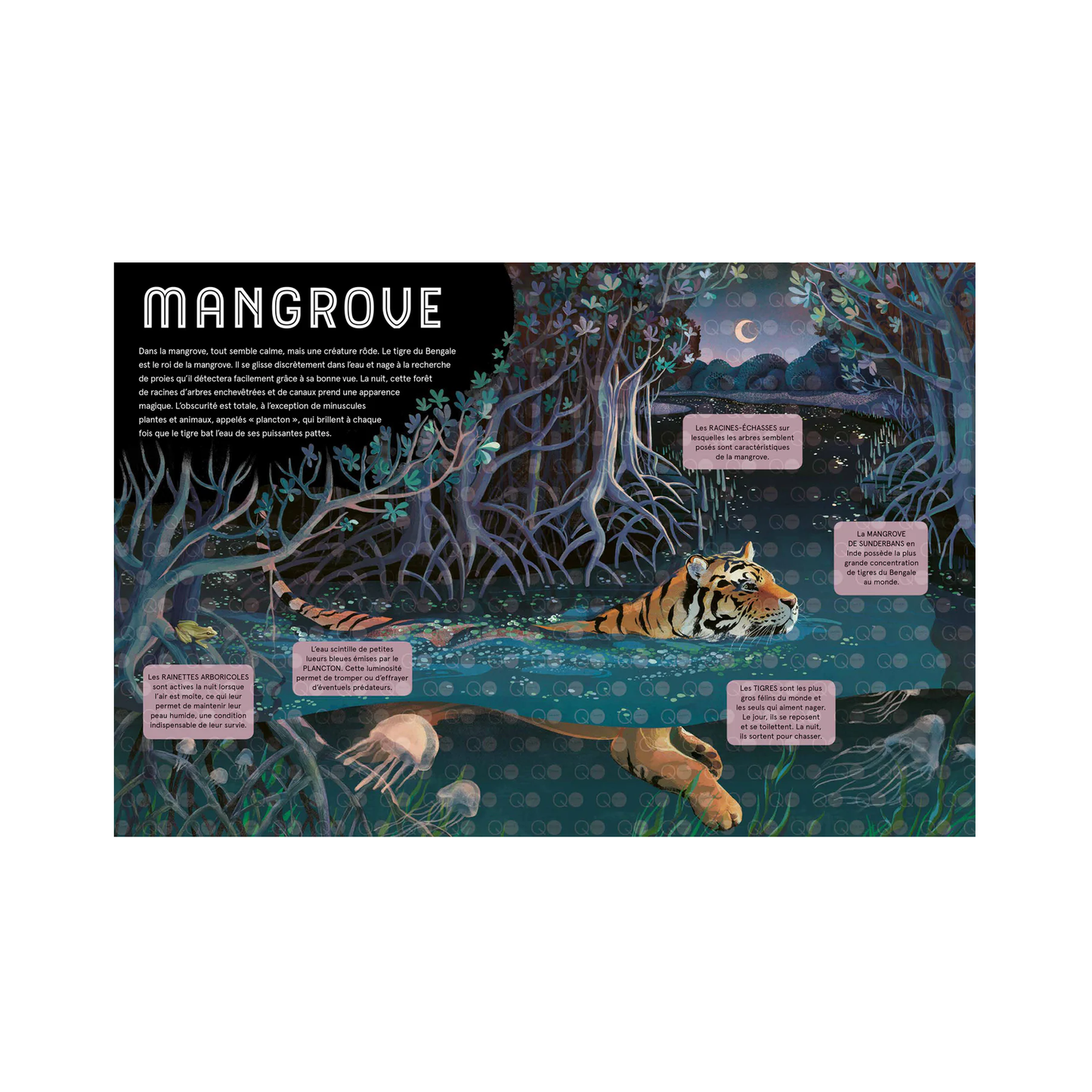 Les animaux de la nuit -Kimane