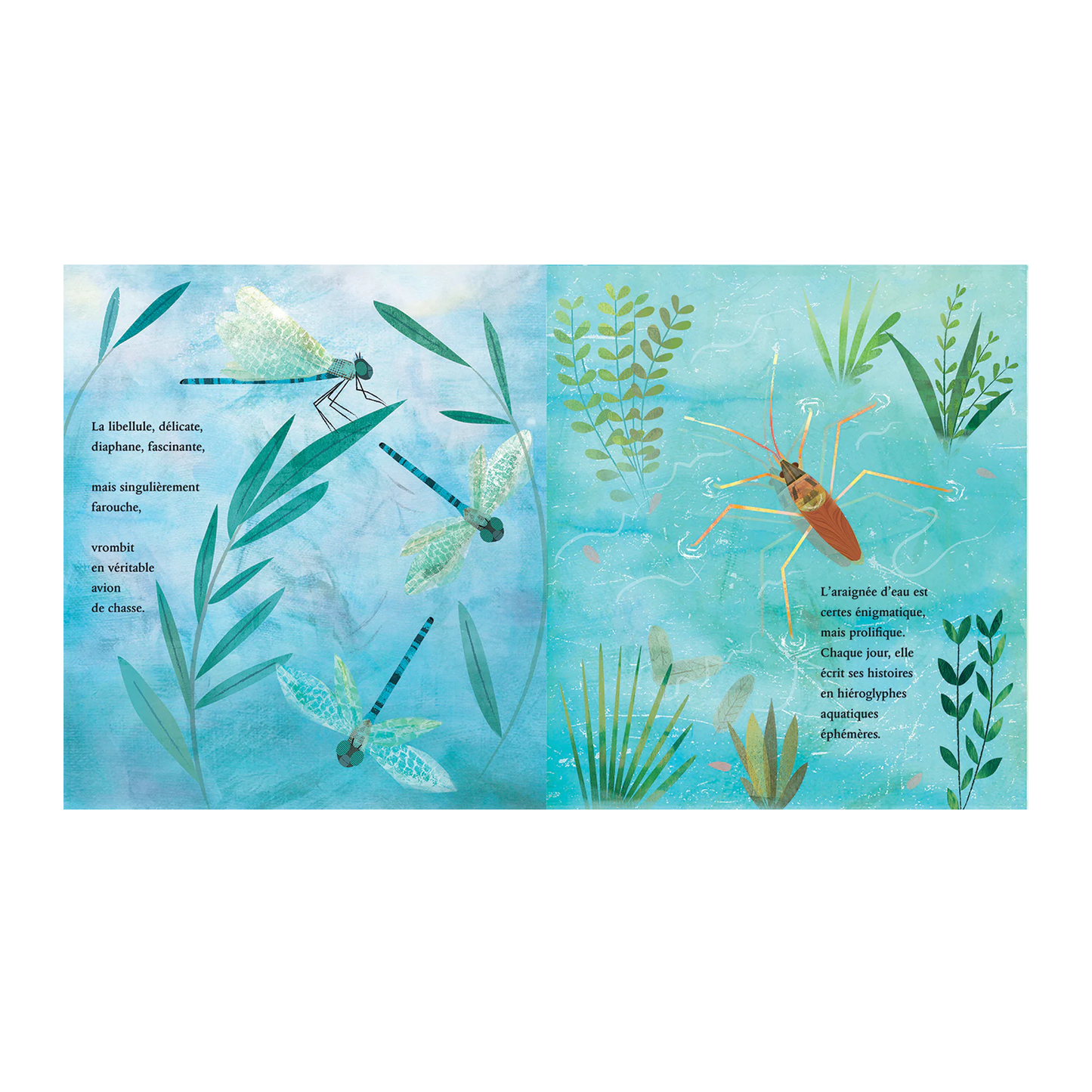 Au bord de l'étang -Kimane