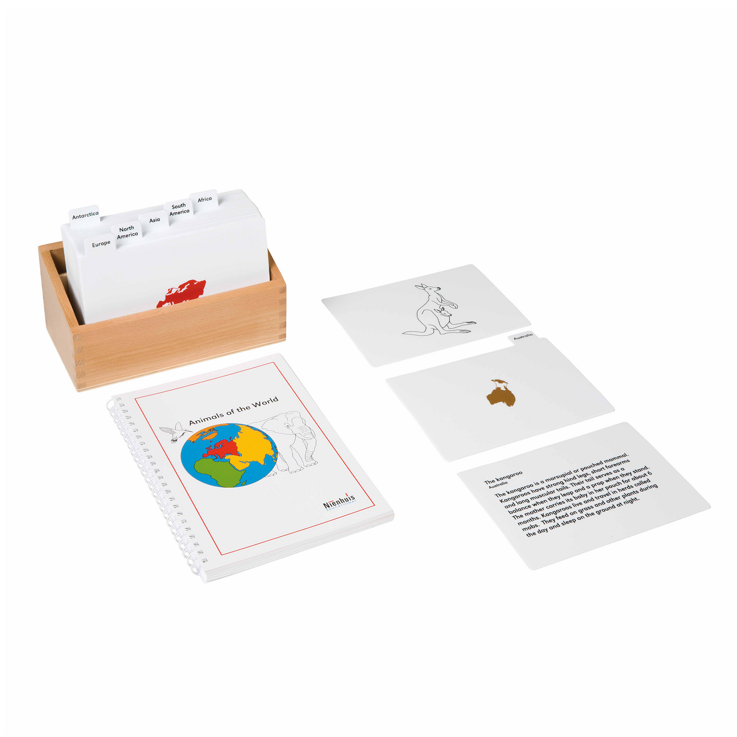 Animaux du monde (en anglais) - Nienhuis AMI