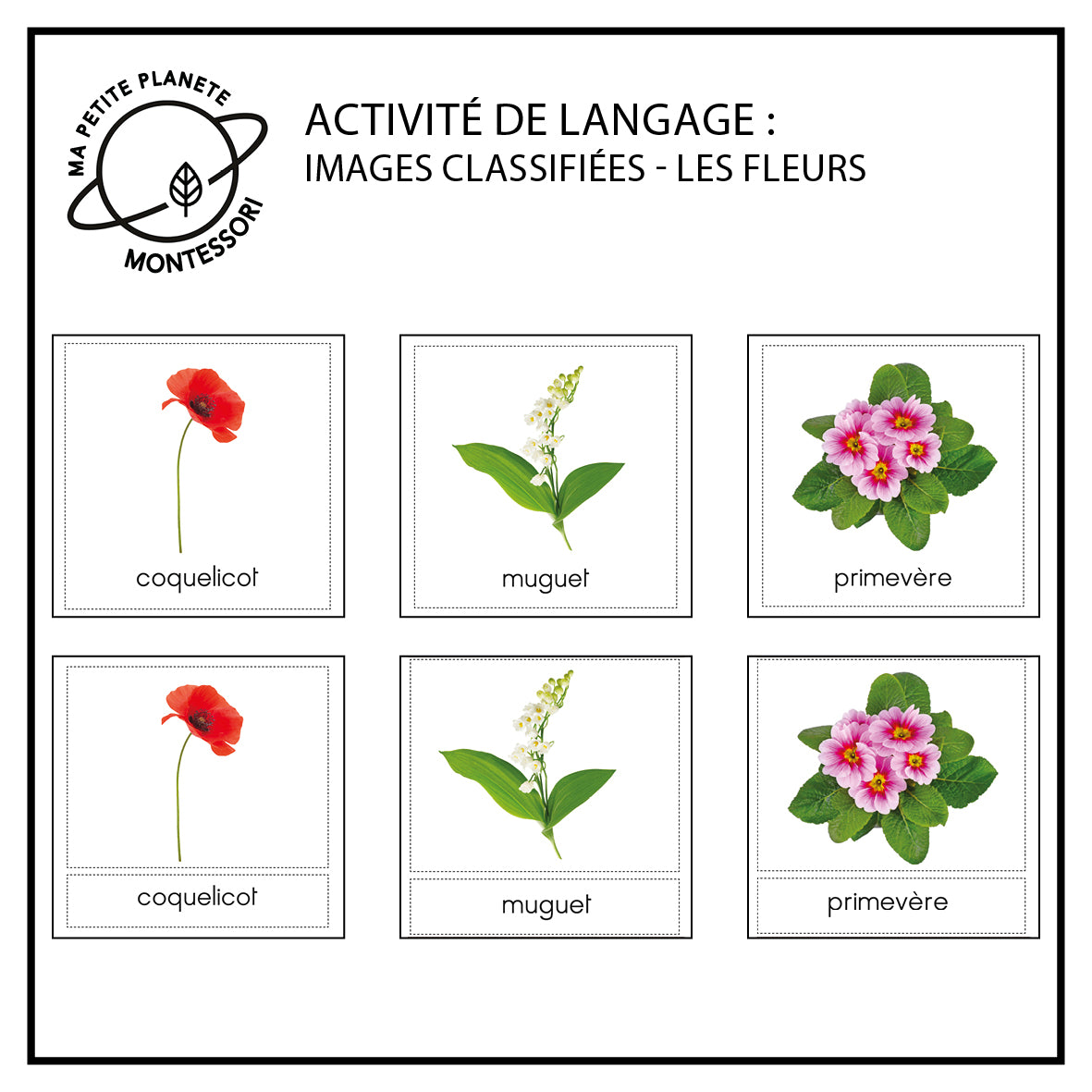 Montessori-klassifizierte Bilder - Blumen