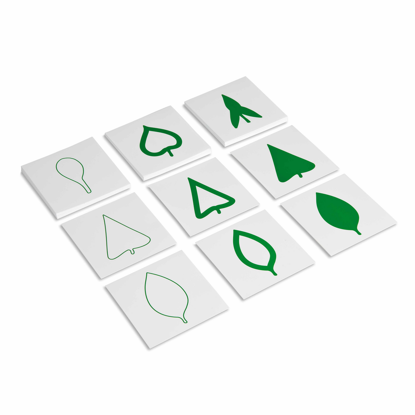 Cartes des feuilles d'arbres - Nienhuis AMI