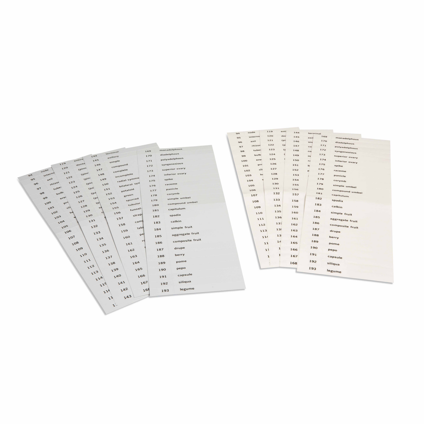 Etiquettes du troisième jeu de cartes de botanique en anglais -Nienhuis AMI