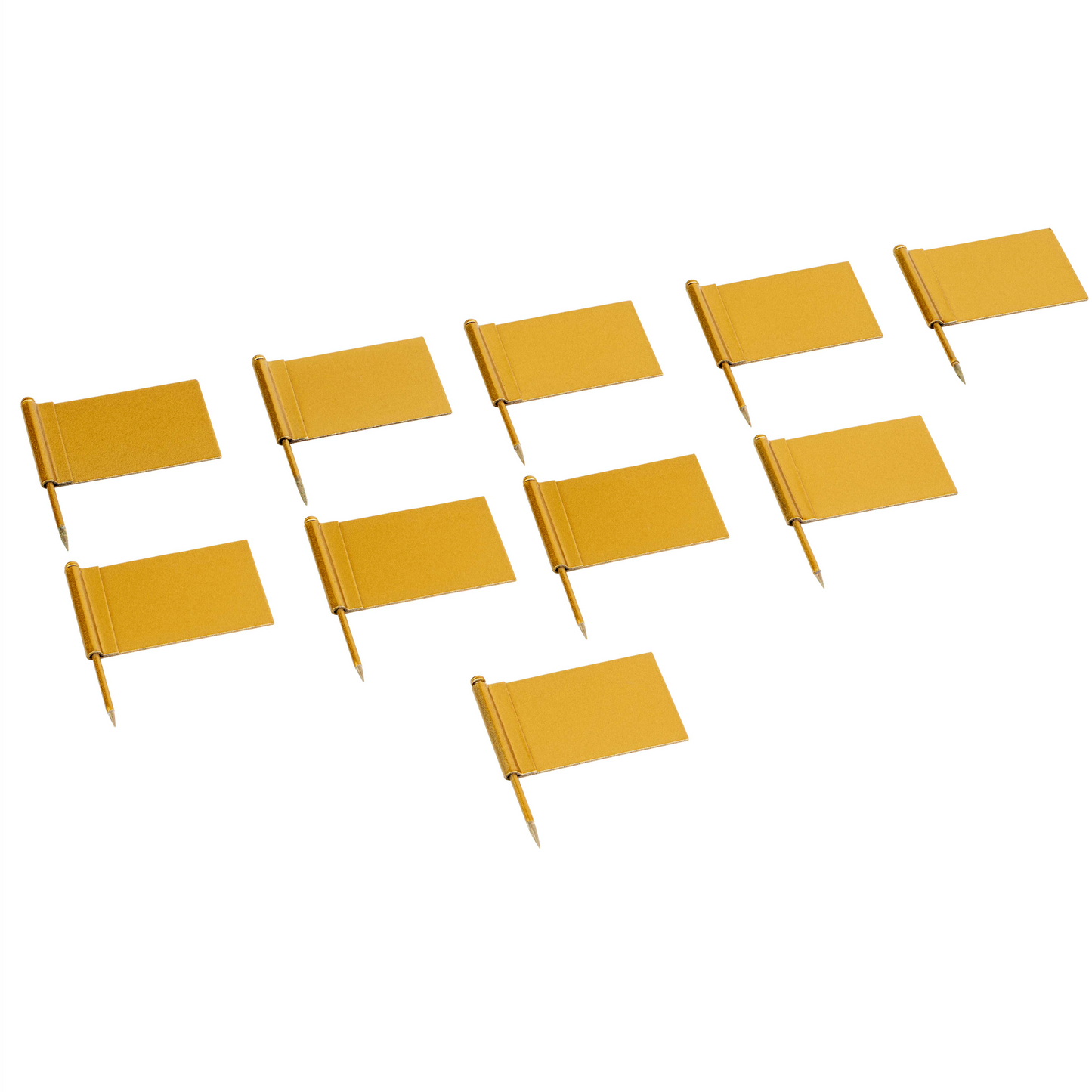 Drapeaux supplémentaires : Or (10) -Nienhuis AMI