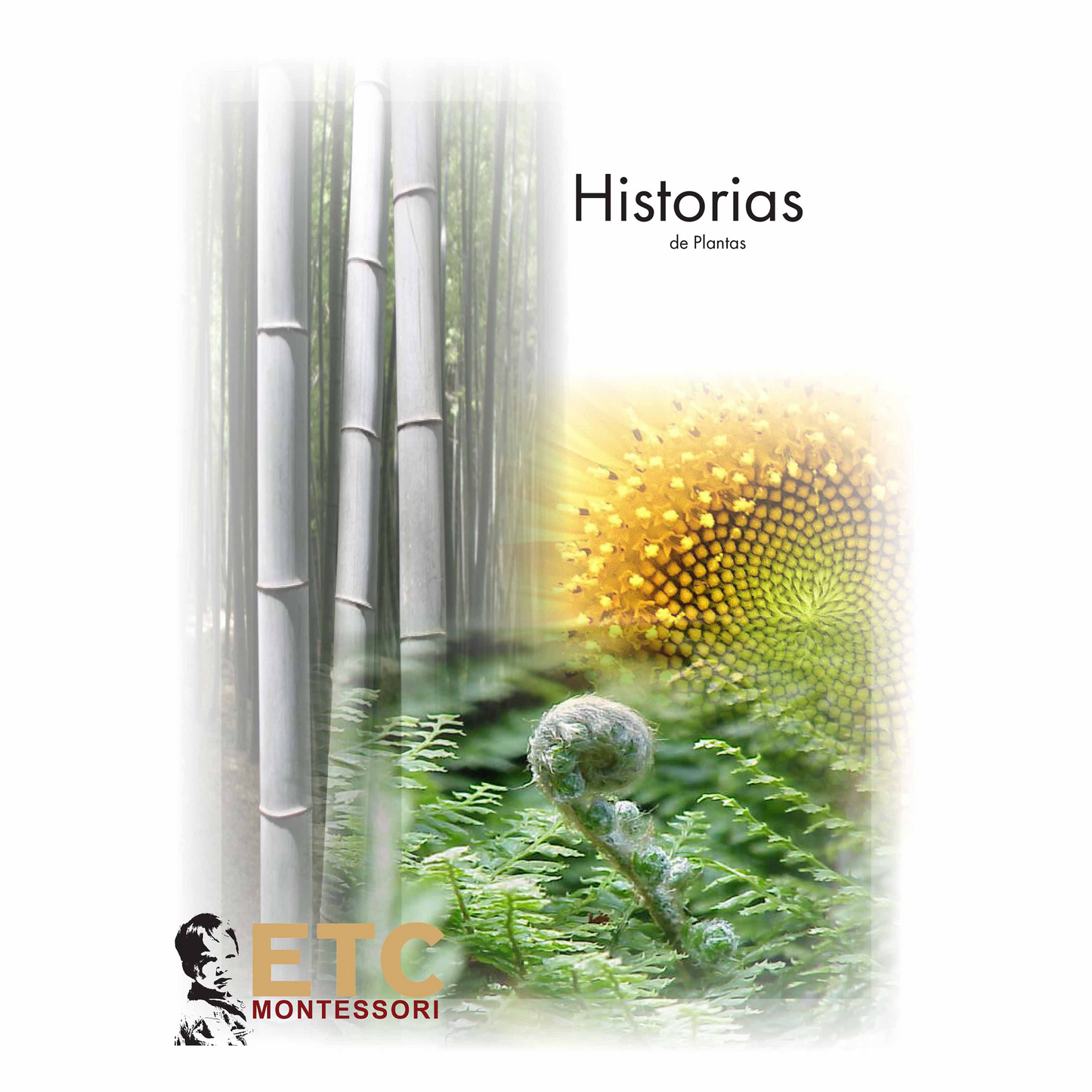 Historias de Plantas - Nienhuis AMI