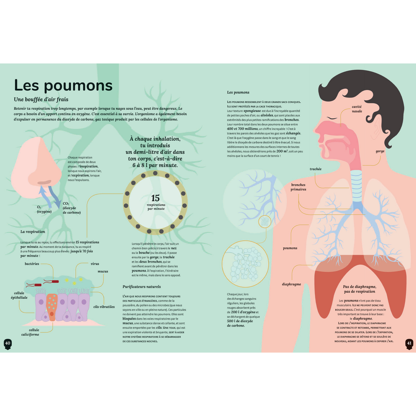 Les mystères du corps humain -Kimane