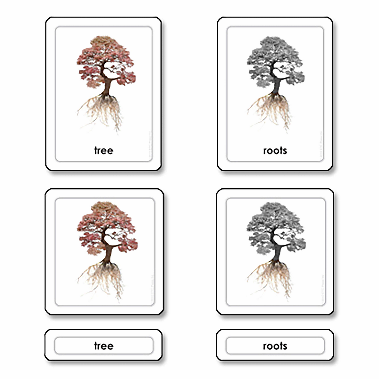 Parties d'un arbre - Nienhuis AMI