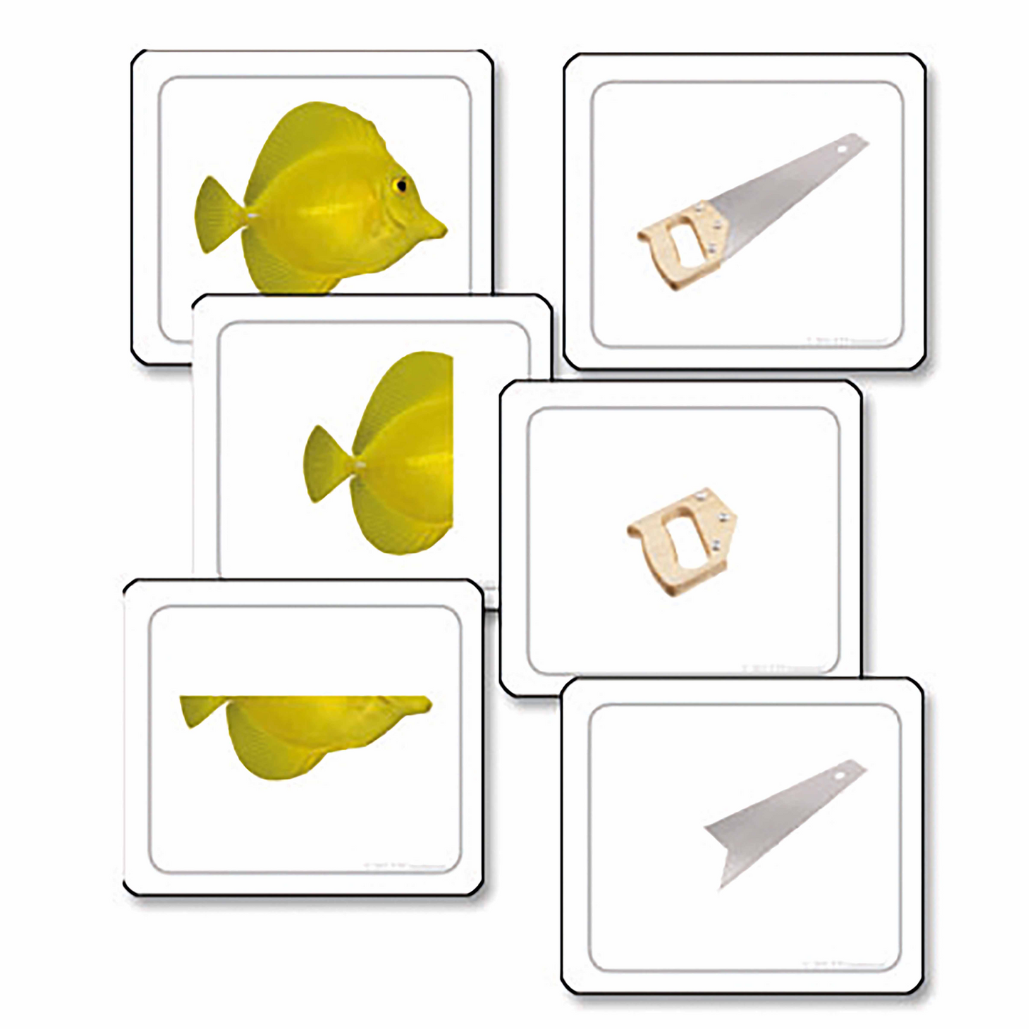 Les parties d'un tout (en anglais) - Nienhuis AMI