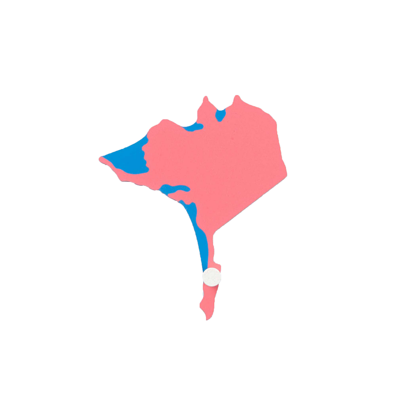 USA puzzle piece: Alaska - Nienhuis AMI