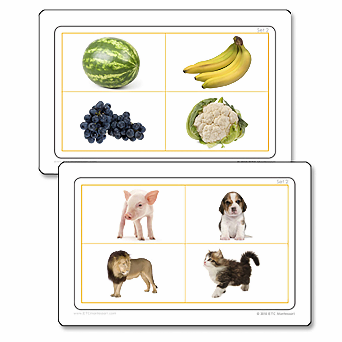 Gleich und anders – Nienhuis AMI