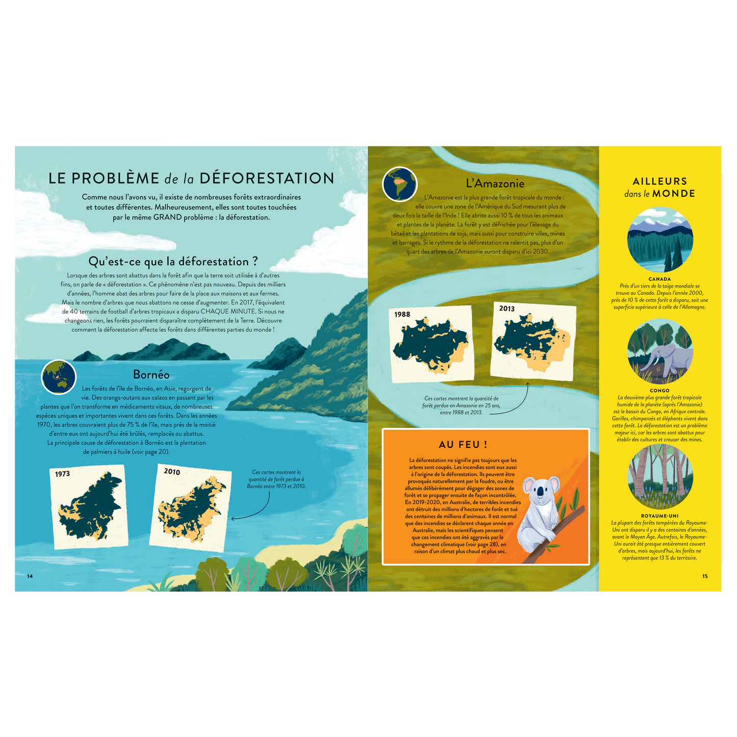 Les forêts, un trésor à préserver -Kimane