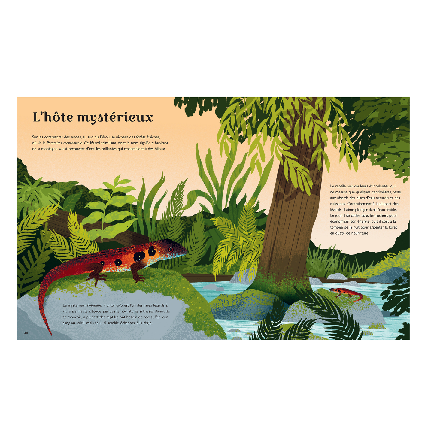 Secrets de nos montagnes -Kimane