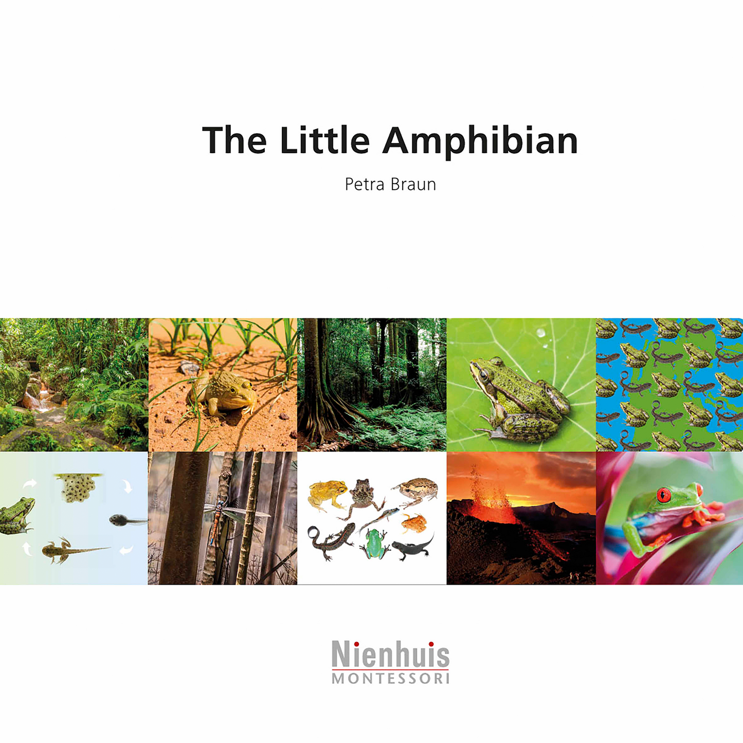 The Little Amphibian - Nienhuis AMI