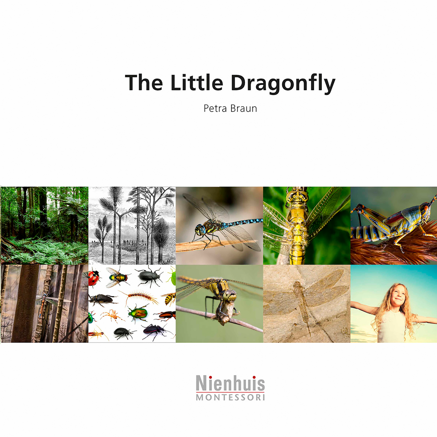 The Little Dragonfly - Nienhuis AMI