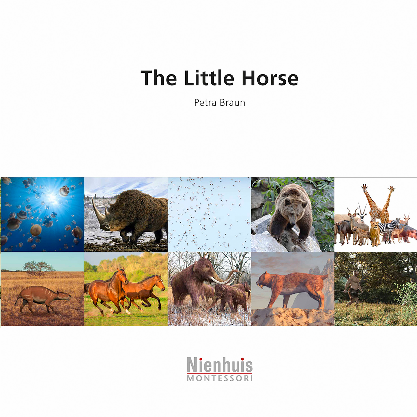 The Little Horse - Nienhuis AMI