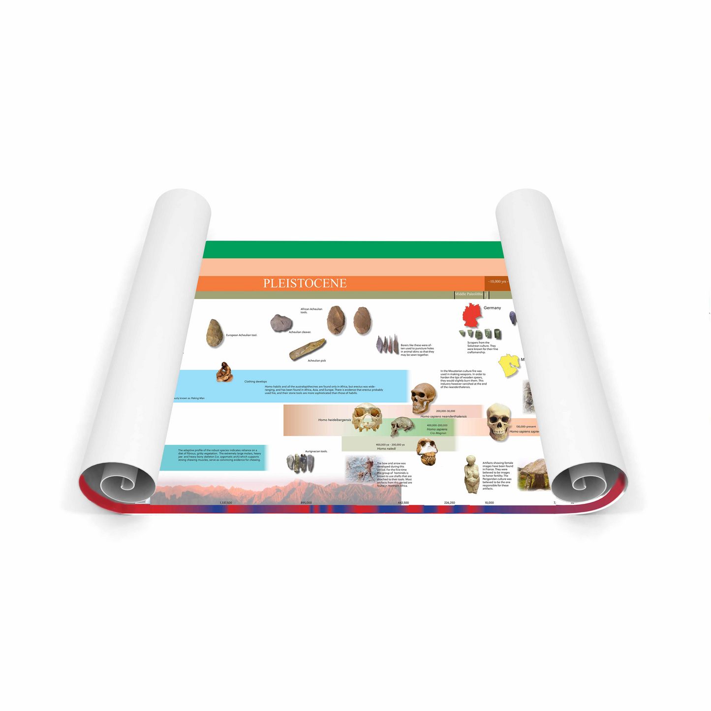 Chronologie des premiers humains (grand écran) (en anglais) - Nienhuis AMI