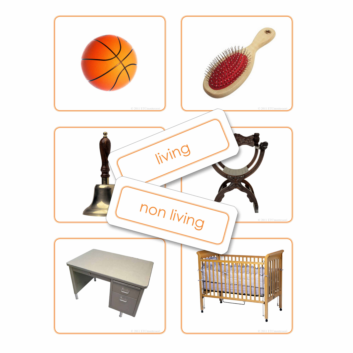 Vivant ou pas vivant (en anglais) - Nienhuis AMI