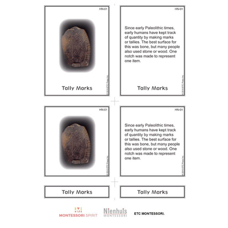 History of Numbers Nomenclature - Nienhuis AMI