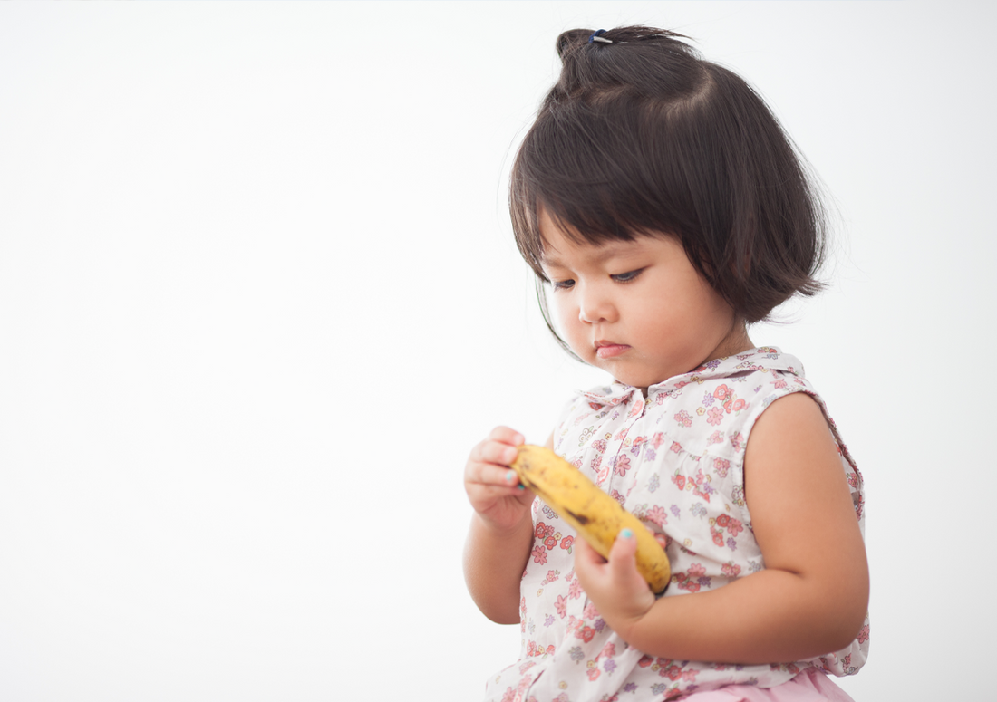 Activité : la science des fruits