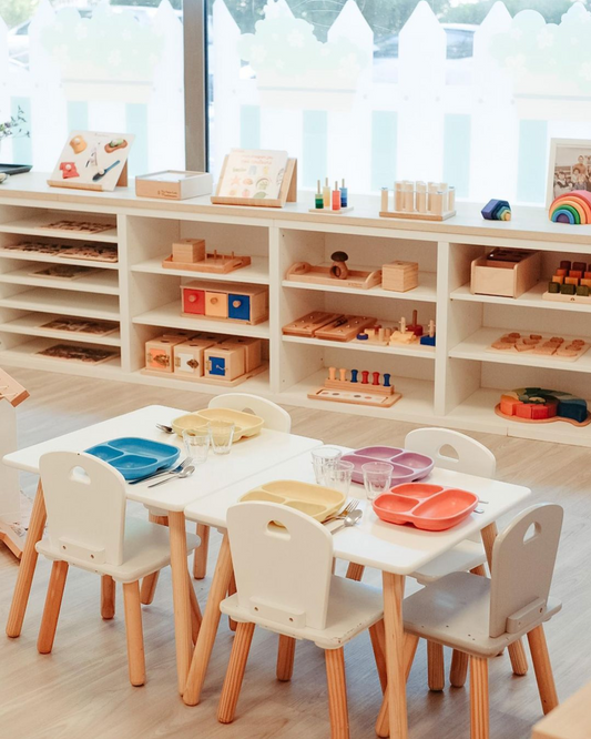 Les écoles Montessori de France