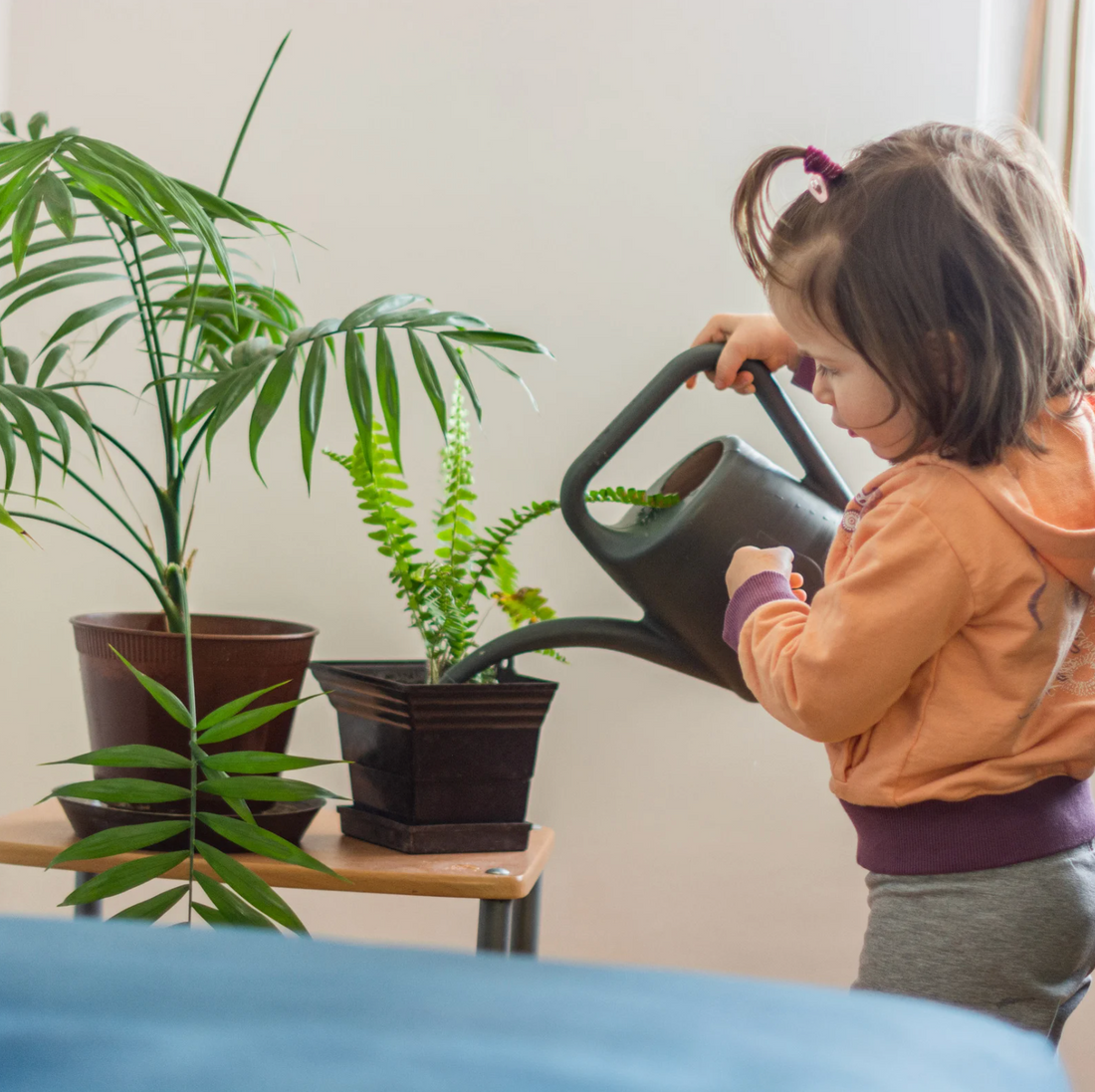 La botanique et Montessori