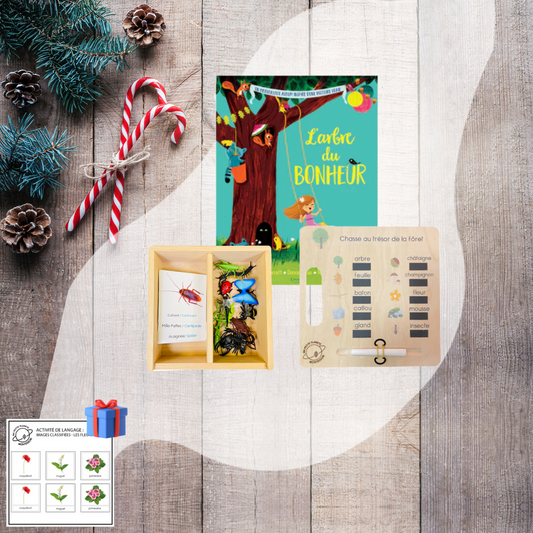 Coffret de Noël pour 3 - 4 ans