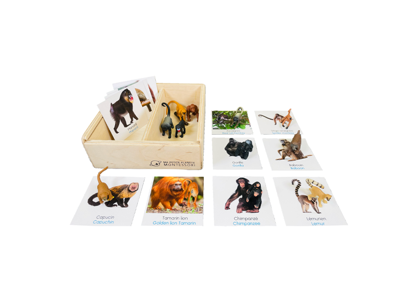 Box figurines the monkeys