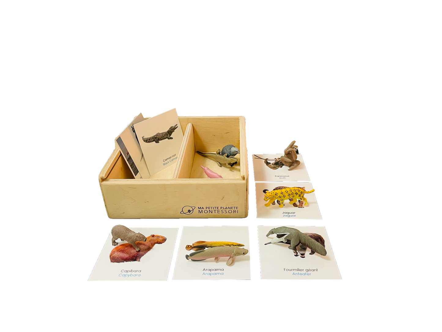 Coffret figurines les animaux d'Amérique du Sud