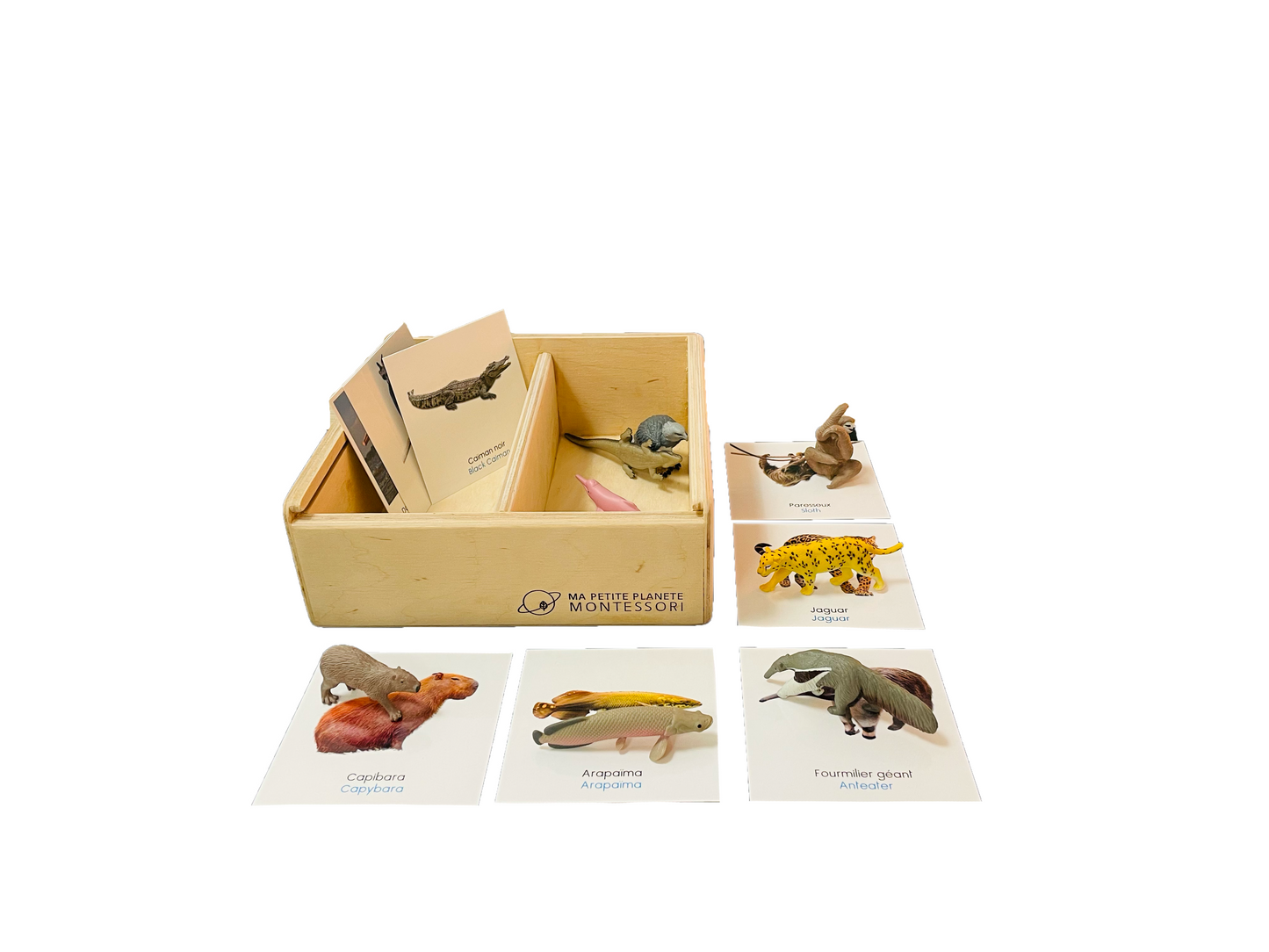 South American animals figurine box