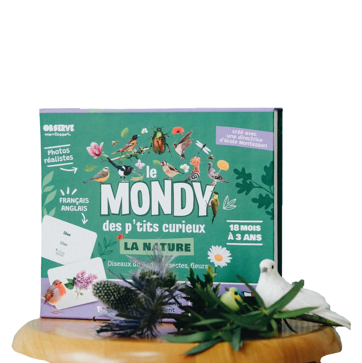 Le Mondy des P'tits Curieux -Observe Montessori