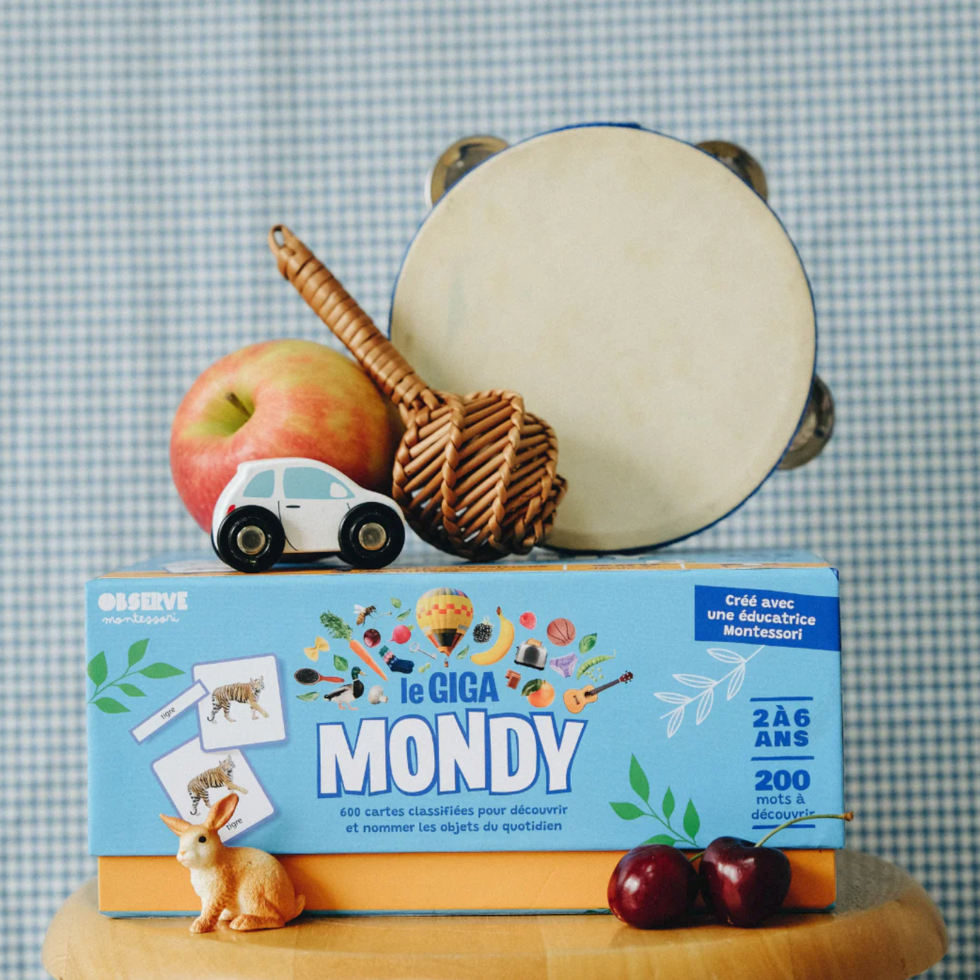 Giga Mondy, cartes de nomenclature Montessori -Observe Montessori