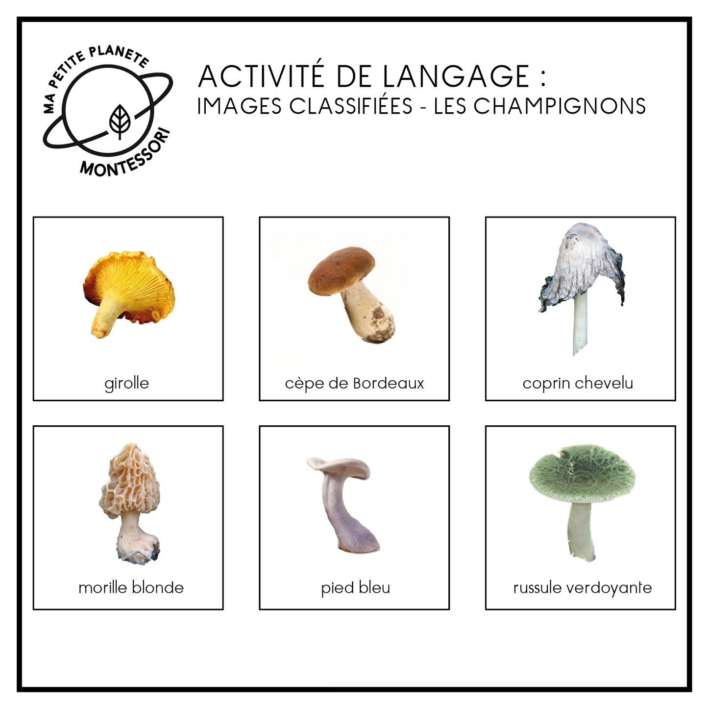 Images classifiées Montessori - Les champignons