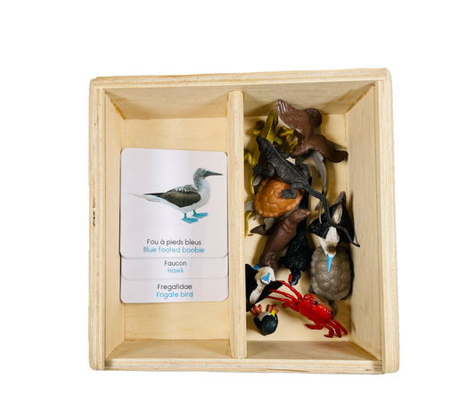 Coffret figurines les galapagos