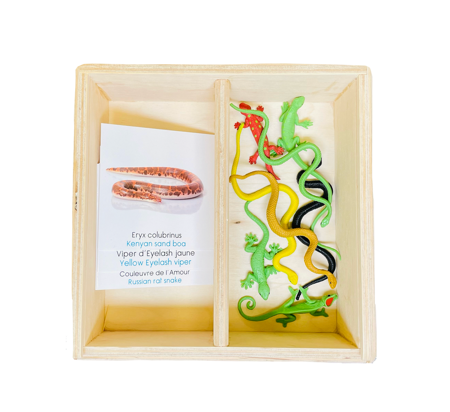 Coffret figurines les reptiles