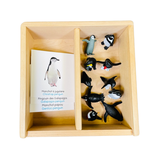Box figurines penguins
