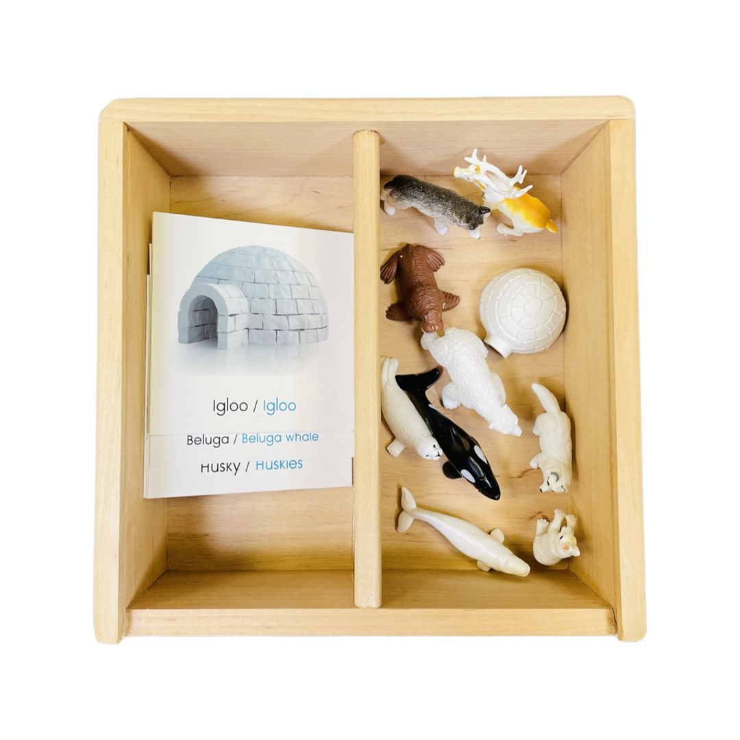 Arctic figurines box