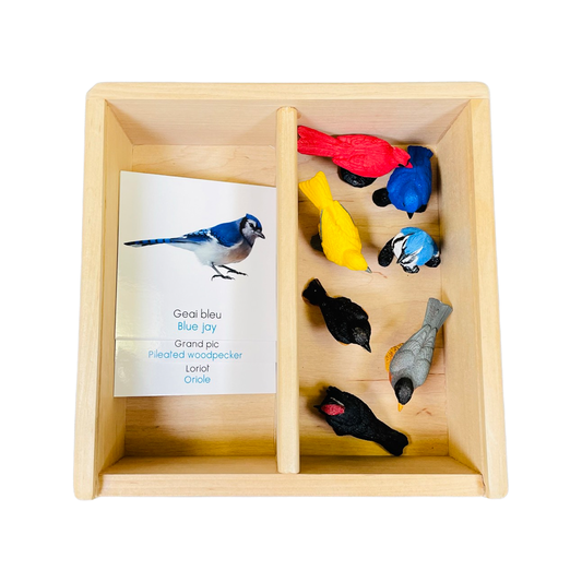 Coffret figurines les oiseaux