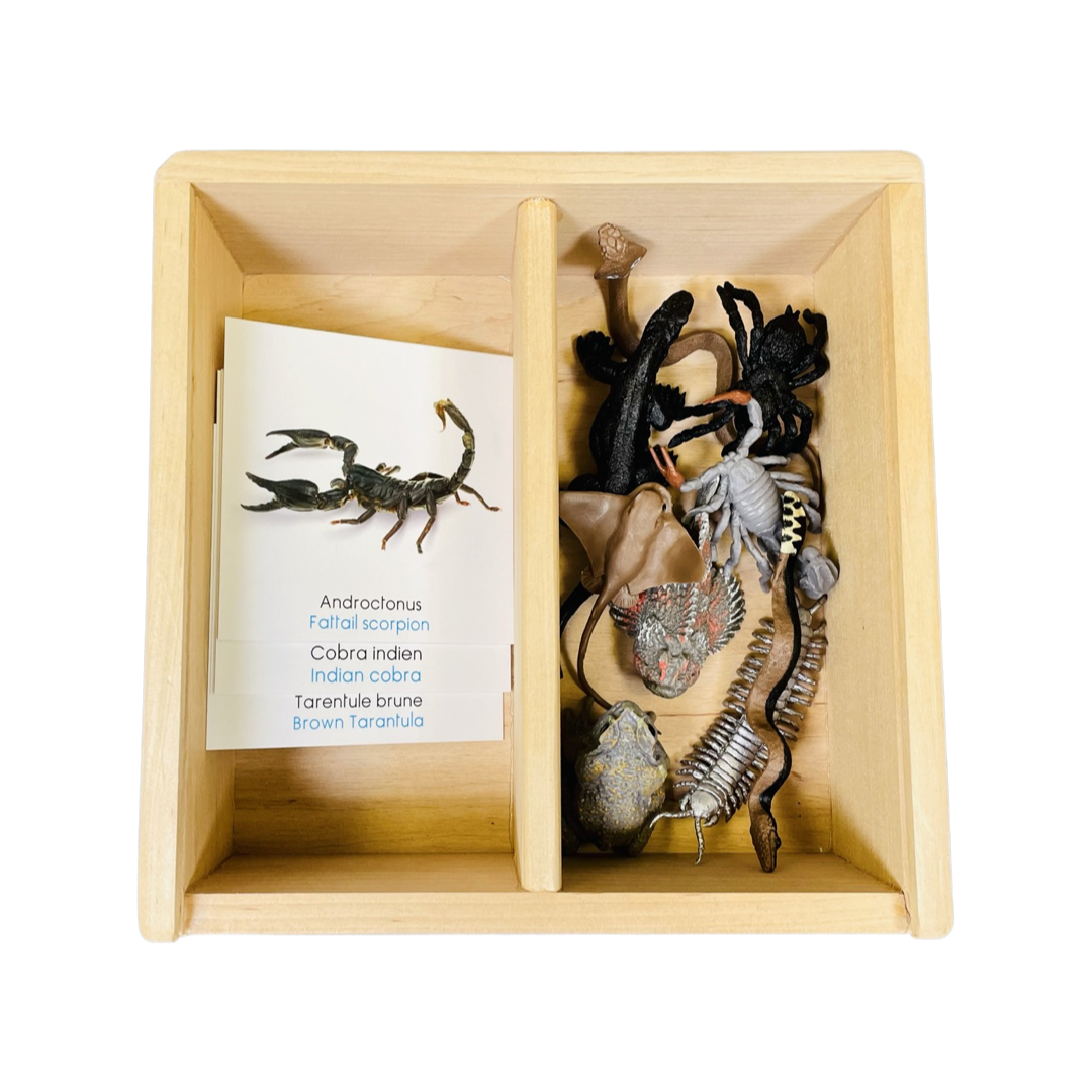 Poisonous creatures figurine box