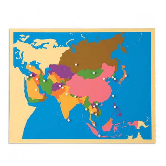 Puzzle Map: North America - Nienhuis AMI