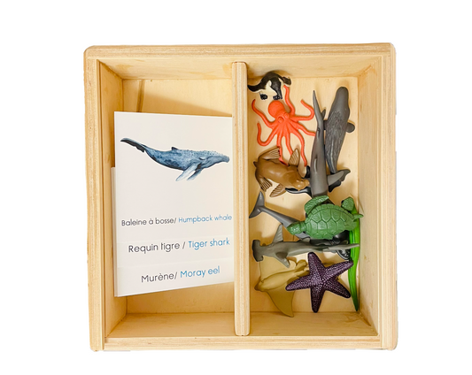 Set of figurines of ocean animals