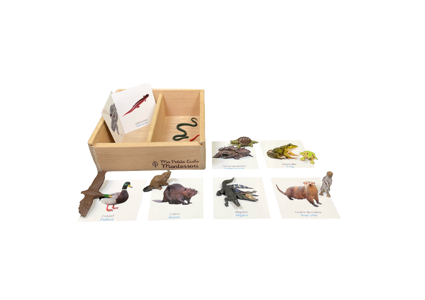 Box of figurines of river animals