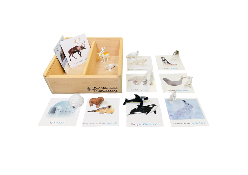 Arctic figurines box