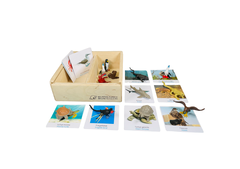 Box figurines the galapagos
