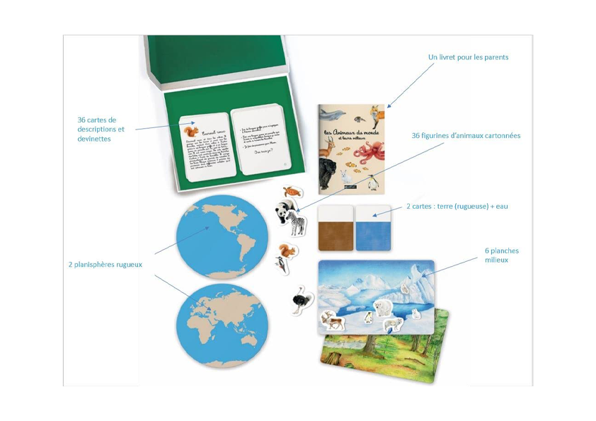 Montessori-Box: Die Tiere der Welt und ihre Umgebung – Nathan
